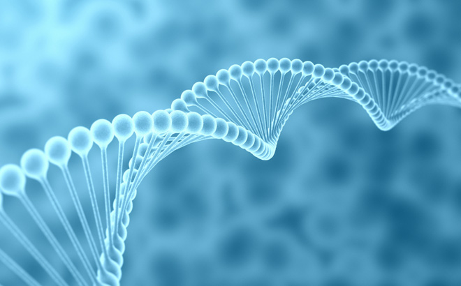 科(kē)瑪去(qù)年(nián)營收首破萬億韓元 拟在華建第2家(jiā)工(gōng)廠(chǎng)